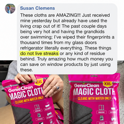 GenieClean Magic Cloth